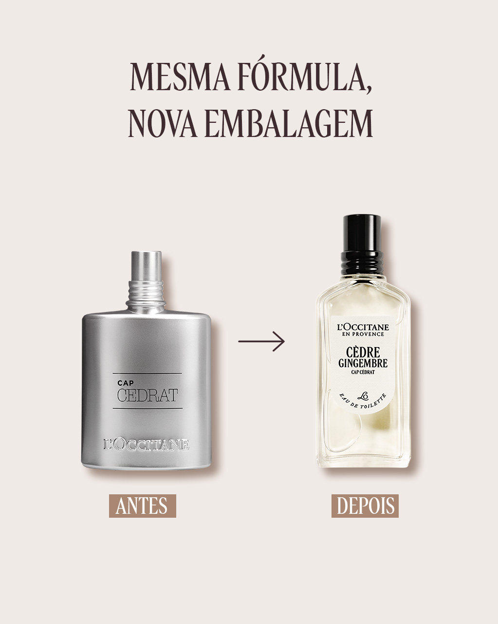 Eau de Toilette Cèdre Gingembre 50mL | L'Occitane en Provence